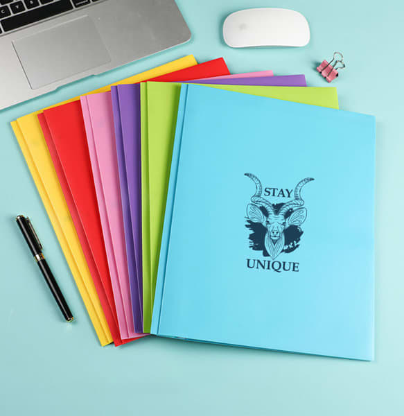 A range of plastic folders in colours including blue, yellow, red, green, and purple, featuring a logo on the front. 2 Pockets Plastic Folder - Image 1