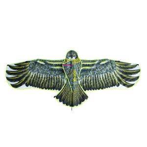 Large Eagle Shaped Flying Kite