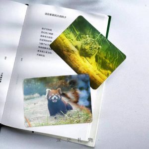 Customized 3D Flip Lenticular Card